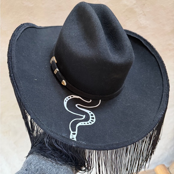 Wide Brim Customized Fun Fringe Snake Wool Stetson Hat size 7 1/4 - Picture 2 of 11